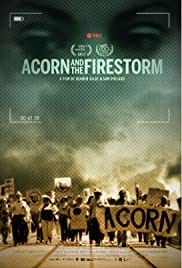 ACORN and the Firestorm