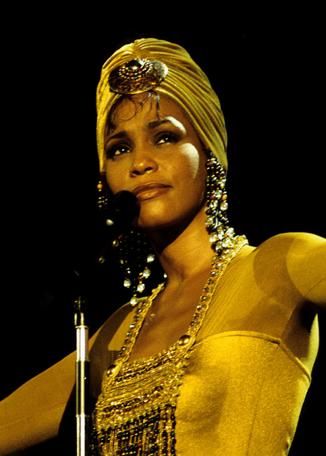 Whitney Houston: The Concert for a New South Africa